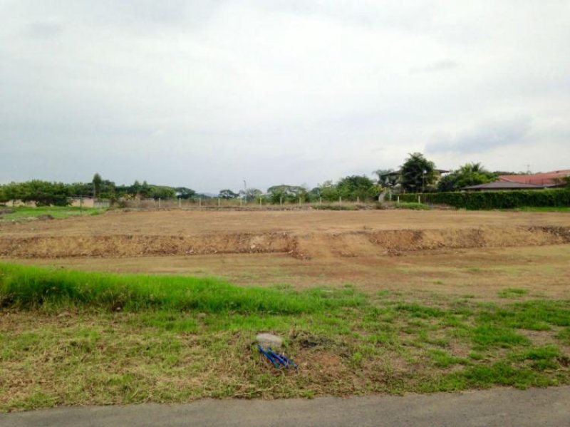 Foto Terreno en Venta en Samborondón, Guayas - U$D 16.000 - TEV15995 - BienesOnLine