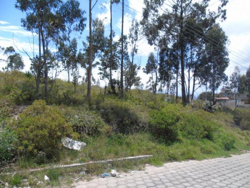 Foto Terreno en Venta en Marianitas de calderón, Quito, Pichincha - U$D 52.000 - TEV36519 - BienesOnLine