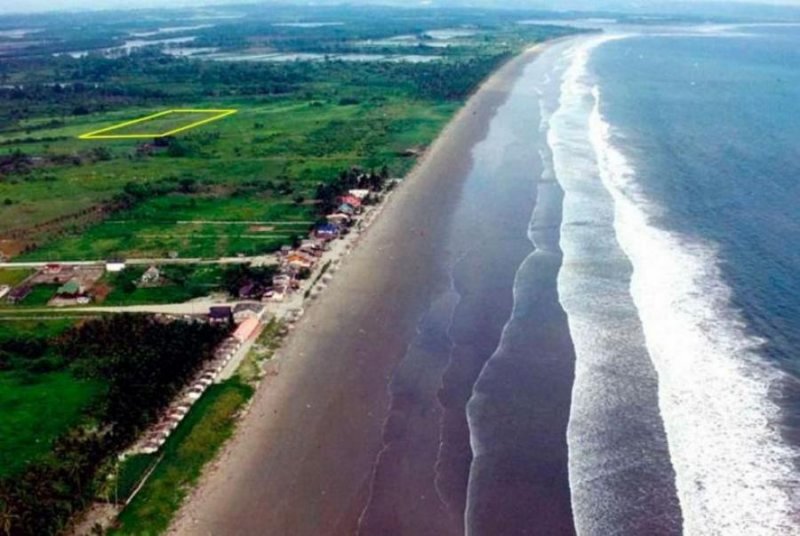 Terreno de 20,000 m² a 100m de la playa en Muisne-Esmeraldas! 