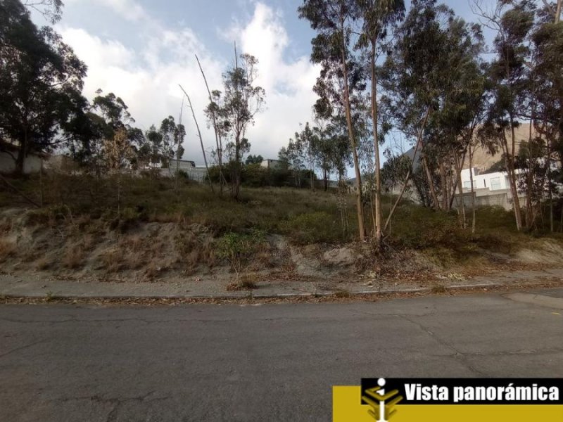 Terreno en Venta en san antonio de pichincha Quito, Pichincha