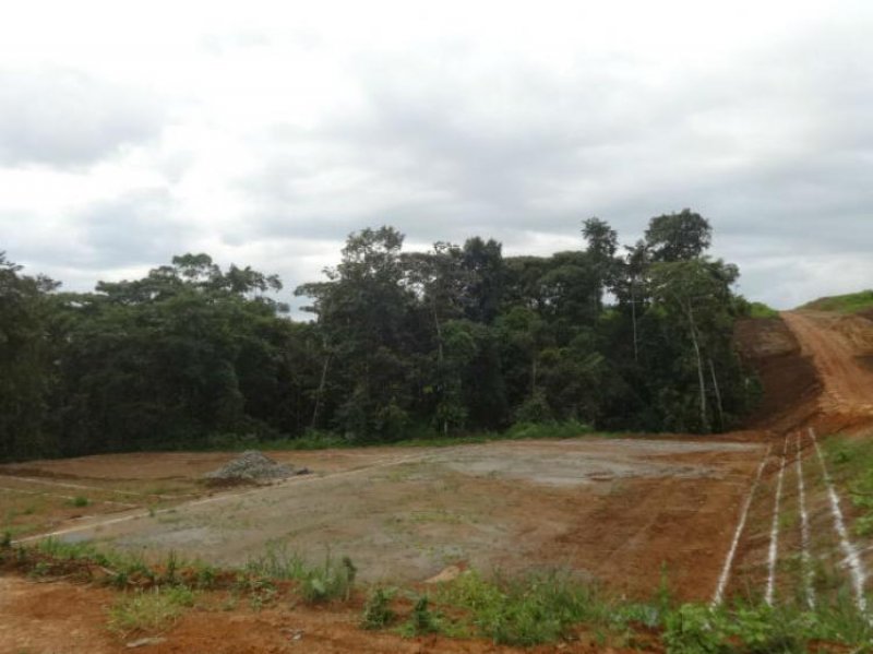 Foto Terreno en Venta en Pedro Vicente Maldonado, Pichincha - U$D 22.900 - TEV15575 - BienesOnLine