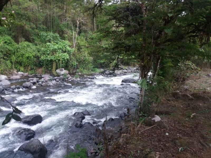 Terreno en Venta en Mindo Mindo, Pichincha