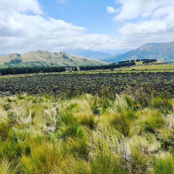 Terreno en Venta en OLMEDO Cayambe, Pichincha