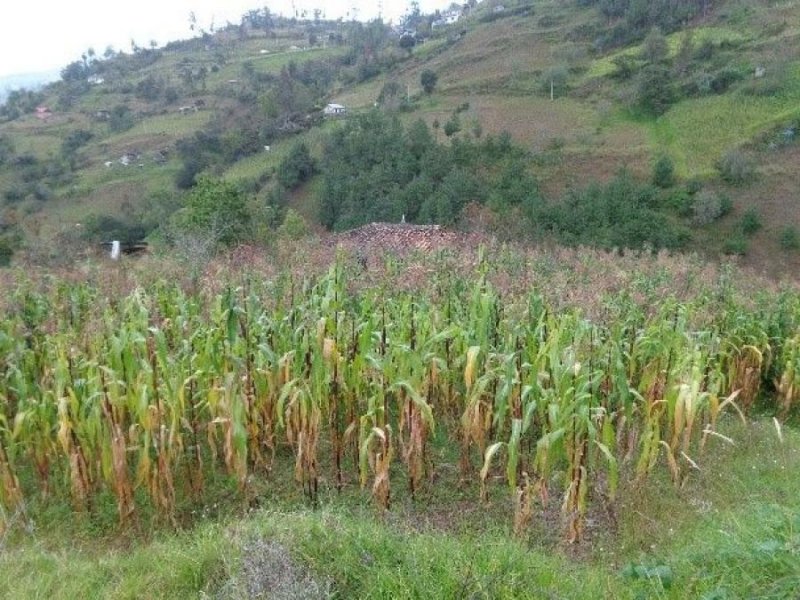 Terreno en Venta en LUIS CORDERO VEGA Gualaceo, Azuay