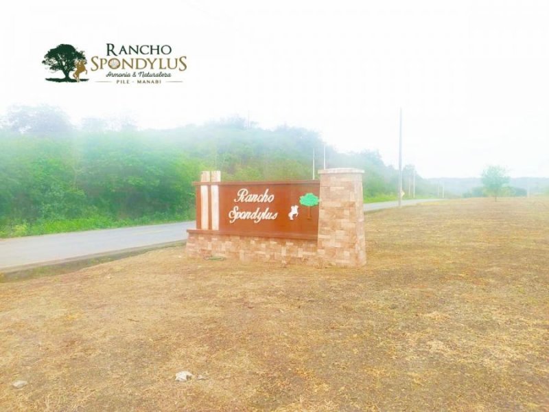 Foto Terreno en Venta en Manabí, Puerto Cayo, Manabi - U$D 9.900 - TEV29801 - BienesOnLine