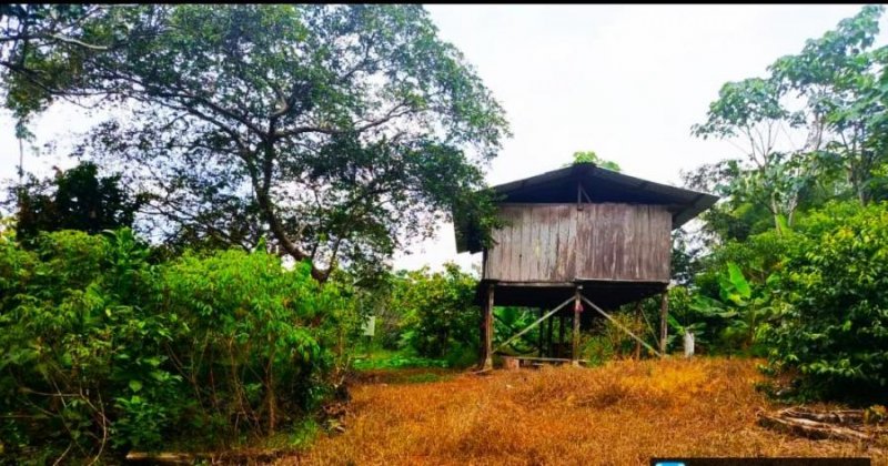 Finca en Venta en Chontapunta tena, Napo