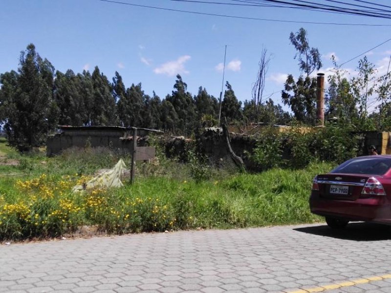 Foto Terreno en Venta en AYORA, Cayambe, Pichincha - U$D 29.400 - TEV22517 - BienesOnLine