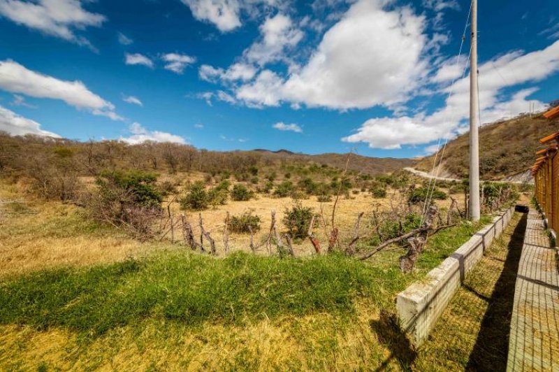 Foto Terreno en Venta en VILCABAMBA, Loja, Loja - 2 hectareas - U$D 196.000 - TEV19068 - BienesOnLine