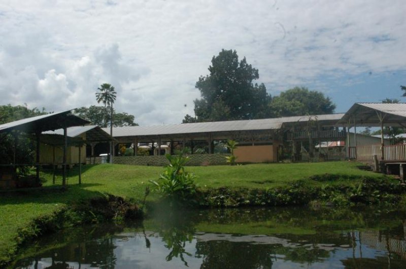 Finca en Venta en HUAMBI EL TESORO, Morona Santiago