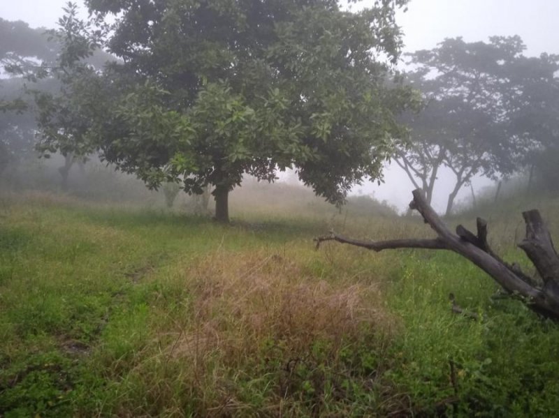 Terreno en Venta en Nayón Quito, Pichincha