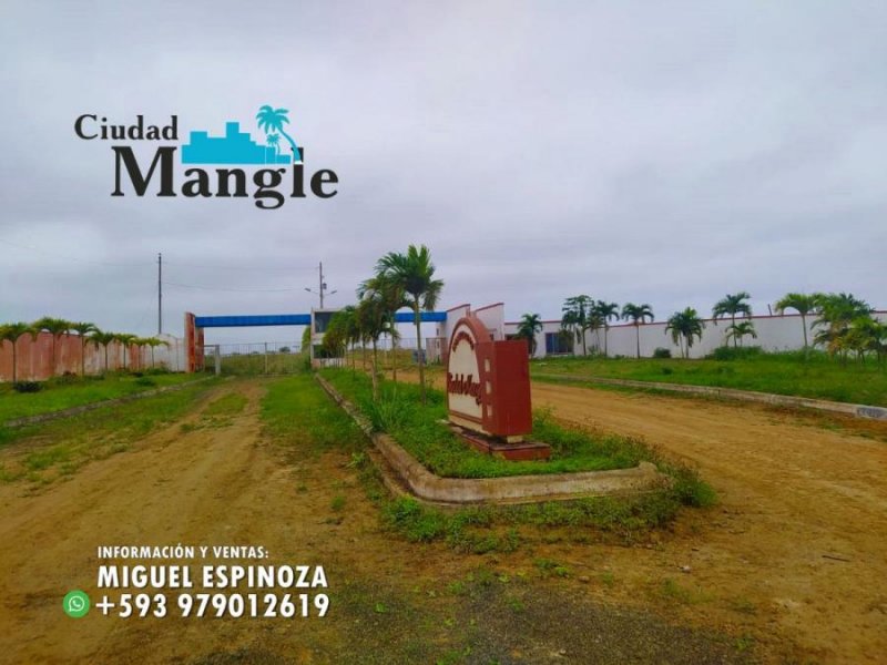 Foto Terreno en Venta en MONTECRISTI, Montecristi, Manabi - 15 hectareas - U$D 16.000 - TEV35766 - BienesOnLine