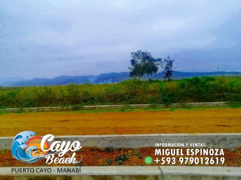 Foto Terreno en Venta en PUERTO CAYO, Jipijapa, Manabi - 15 hectareas - U$D 5.200 - TEV35882 - BienesOnLine