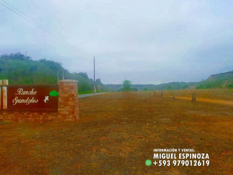 Foto Terreno en Venta en PILE, Montecristi, Manabi - 15 hectareas - U$D 9.900 - TEV35728 - BienesOnLine