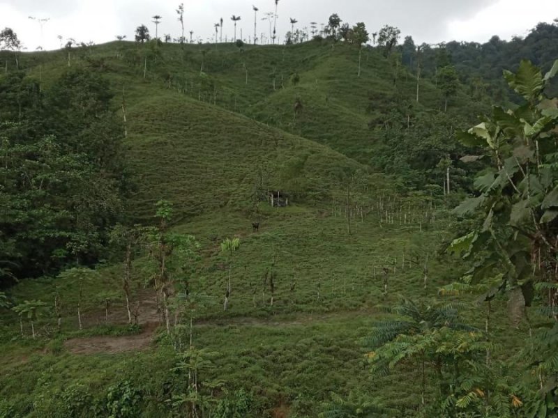 Finca en Venta en LA MANA La Maná, Cotopaxi