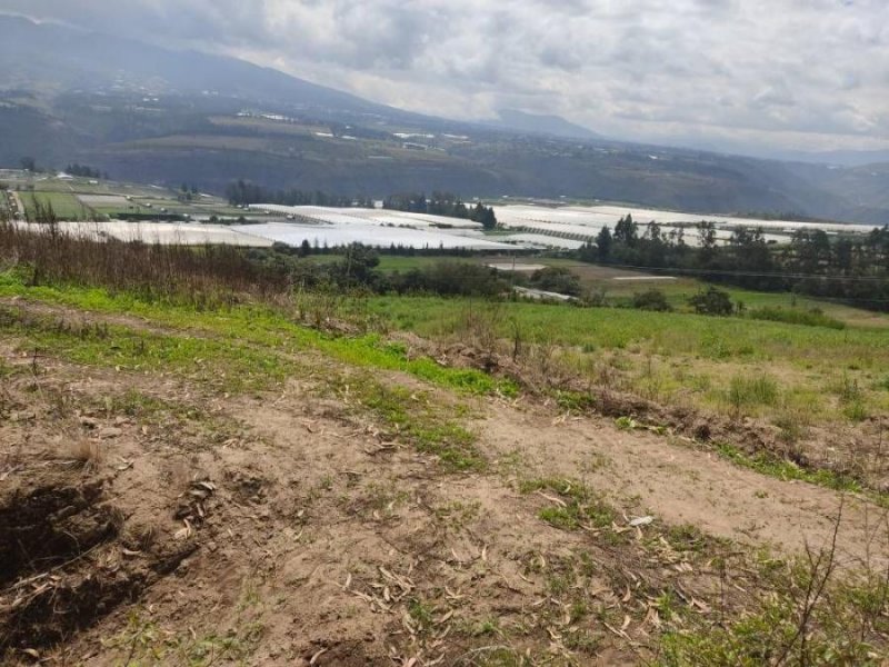 Terreno en Venta en  Cayambe, Pichincha