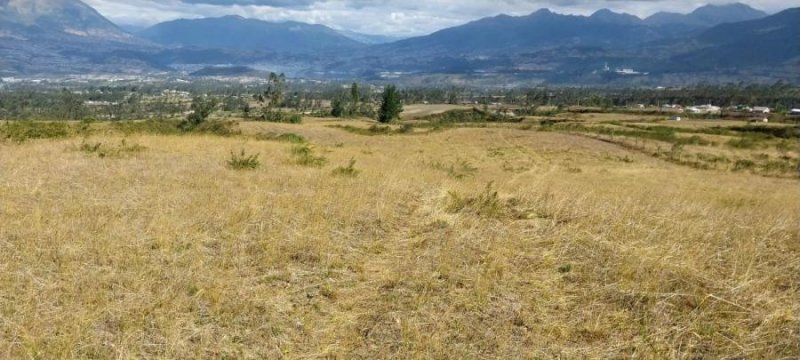 Terreno en Venta en  Cotacachi, Imbabura