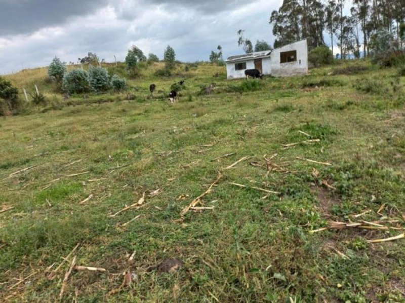 Terreno en Venta en  Antonio Ante, Imbabura