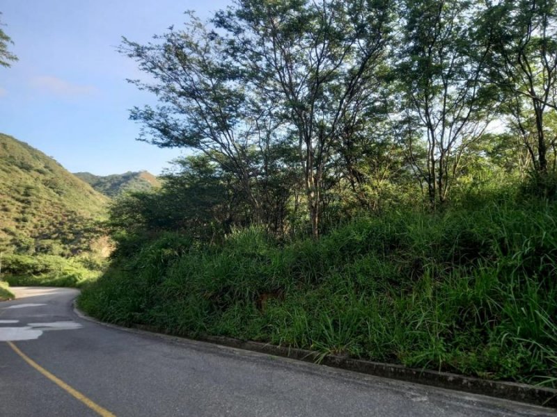 Terreno en Venta en Vilcabamba Sanctórum, Loja