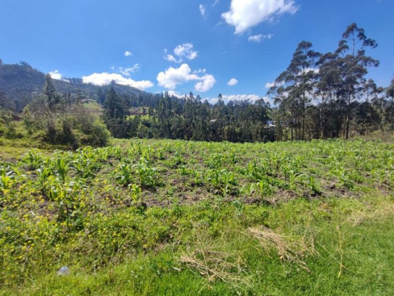 Terreno en Venta en PACCHA Cuenca, Azuay