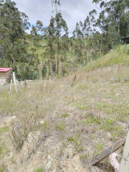 Foto Terreno en Venta en PACCHA, Cuenca, Azuay - U$D 15.000 - TEV39360 - BienesOnLine