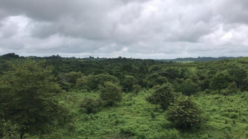 Finca en Venta en  Pedro Carbo, Guayas