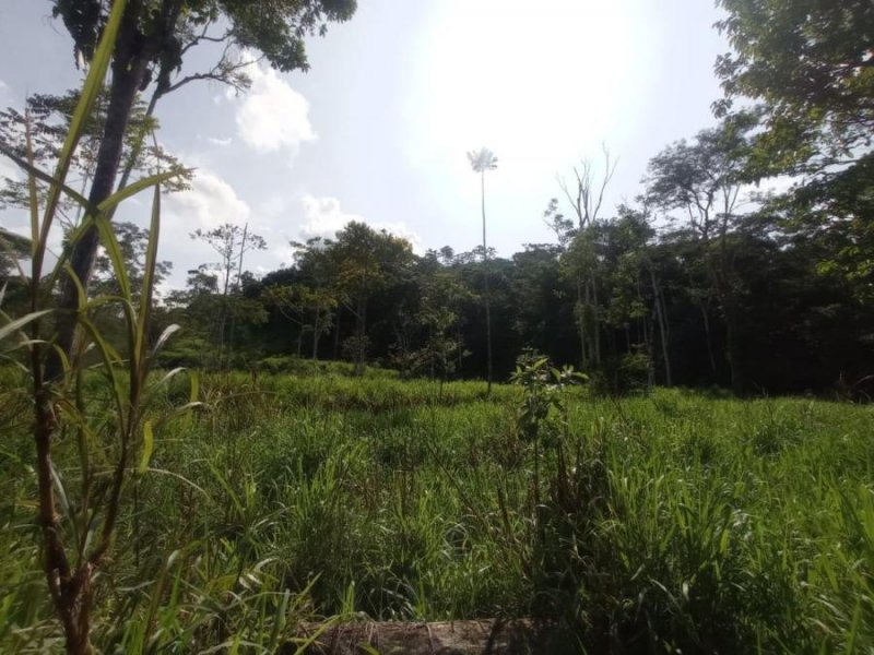 Finca en Venta en Santa Rosa Tena, Napo