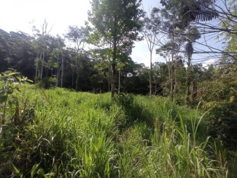 Finca en Venta en Santa Rosa Carlos Julio Arosemena Tola, Napo