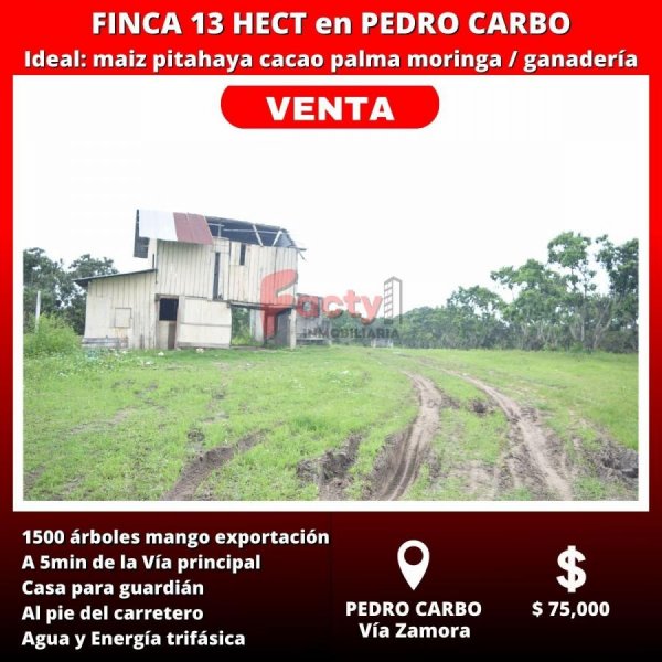 Finca en venta de 13 hectareas en Pedro Carbo de OPORTUNIDAD. 1500 árboles mango, agua y luz