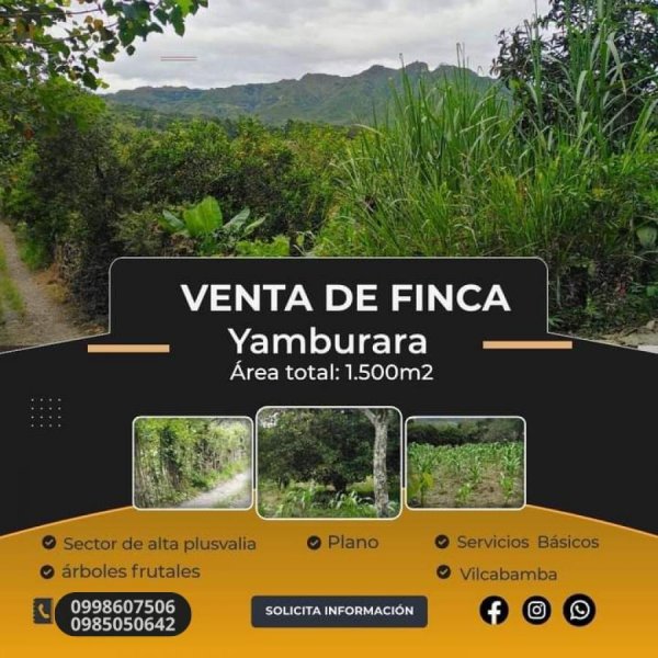 Finca en Venta en Vilcabamba Loja, Loja