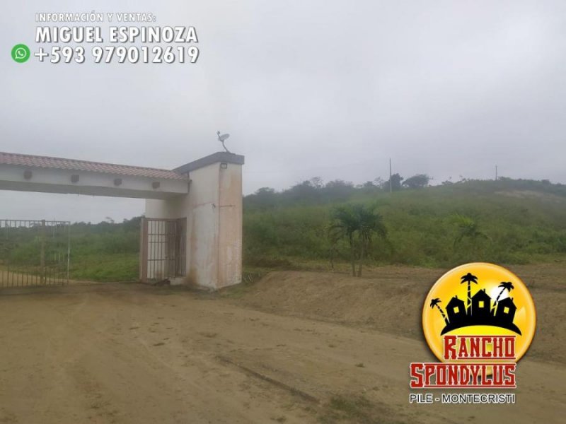 Foto Terreno en Venta en PILE, Montecristi, Manabi - 15 hectareas - U$D 9.900 - TEV35810 - BienesOnLine