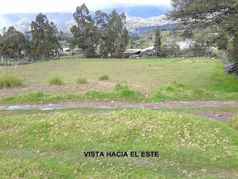 Foto Terreno en Venta en Bolonia, loja, Loja - 1 hectareas - U$D 332.000 - TEV30060 - BienesOnLine