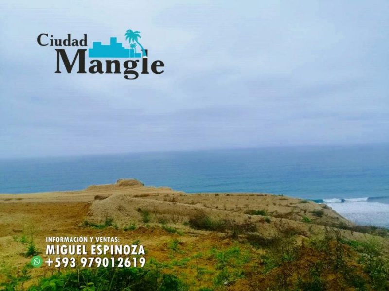 Foto Terreno en Venta en MONTECRISTI, Montecristi, Manabi - U$D 16.000 - TEV35592 - BienesOnLine