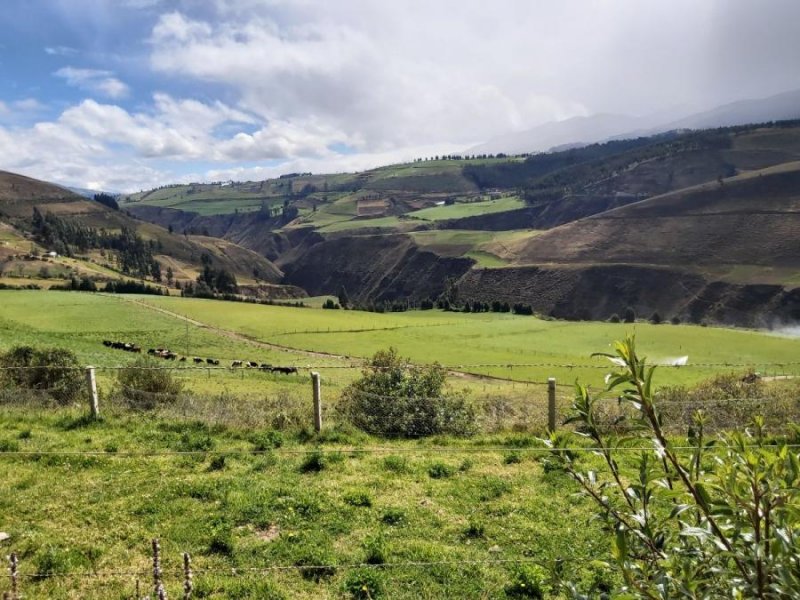 Hacienda en Venta en  Cayambe, Pichincha