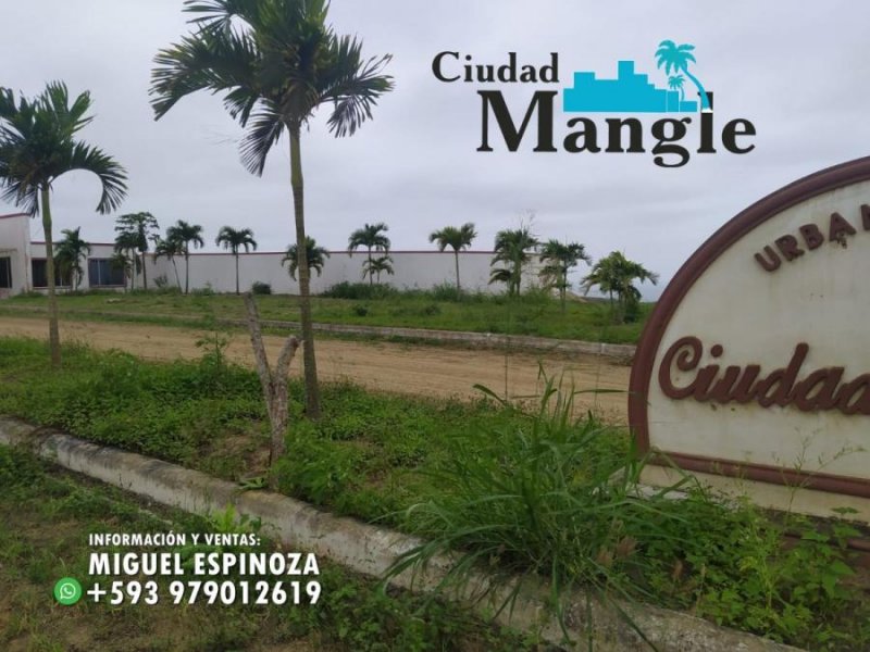 Foto Terreno en Venta en MONTECRISTI, Montecristi, Manabi - 15 hectareas - U$D 16.000 - TEV35588 - BienesOnLine