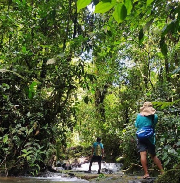 Terreno en Venta en COTUNDO EN NARUPA, Napo