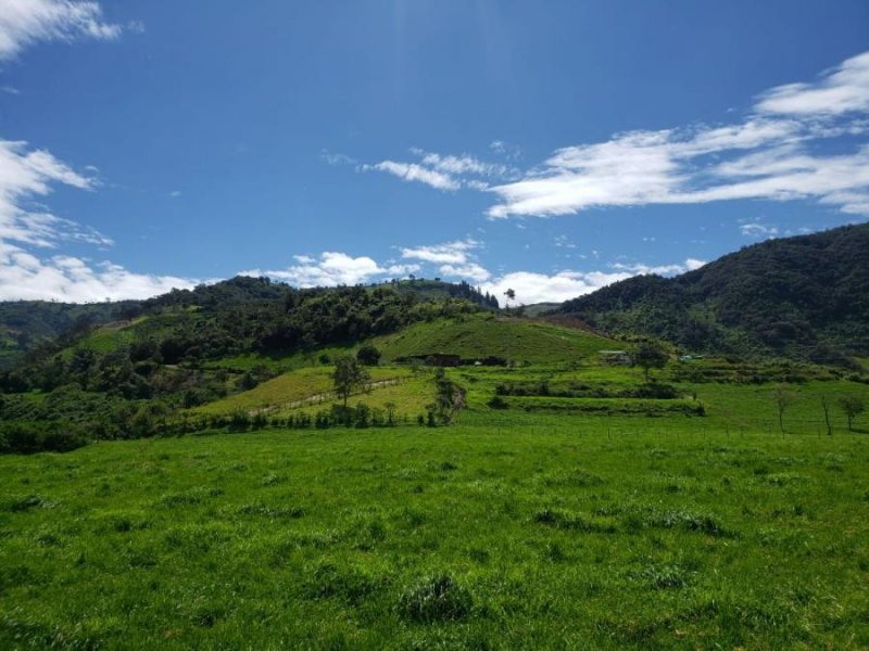 HERMOSA HACIENDA EN VENTA EN OTAVALO