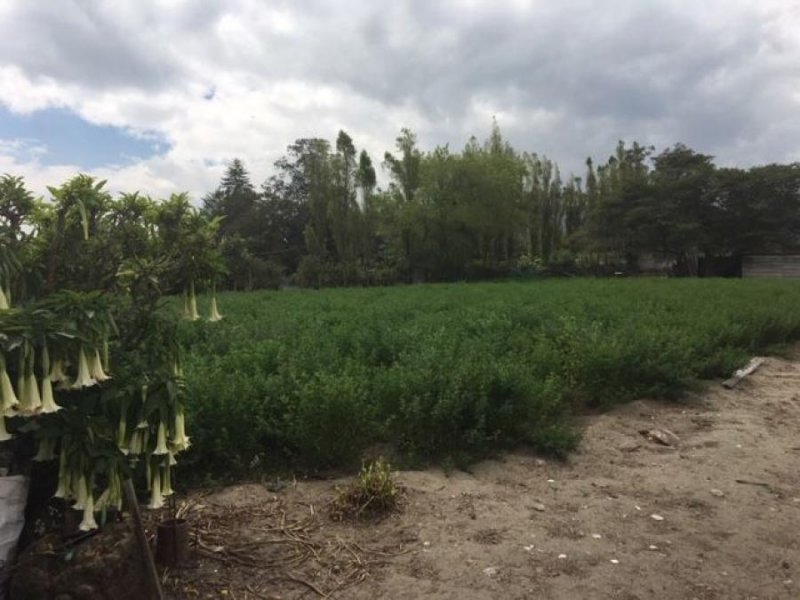 Foto Terreno en Venta en GUAYLLABAMBA, Quito, Pichincha - U$D 99.000 - TEV30800 - BienesOnLine