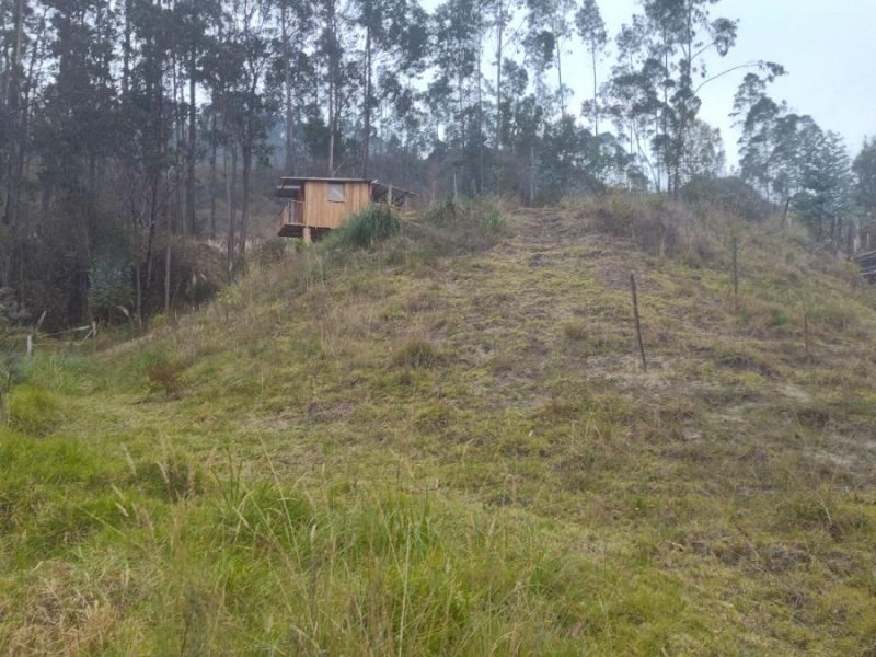 Terreno en Venta en Deleg Cuenca, Azuay