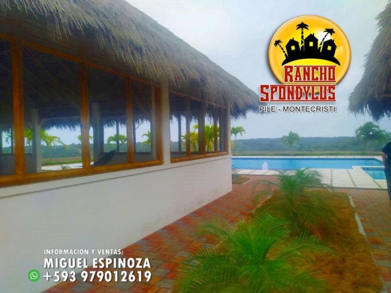 Foto Terreno en Venta en PILE, Montecristi, Manabi - 15 hectareas - U$D 9.900 - TEV35890 - BienesOnLine