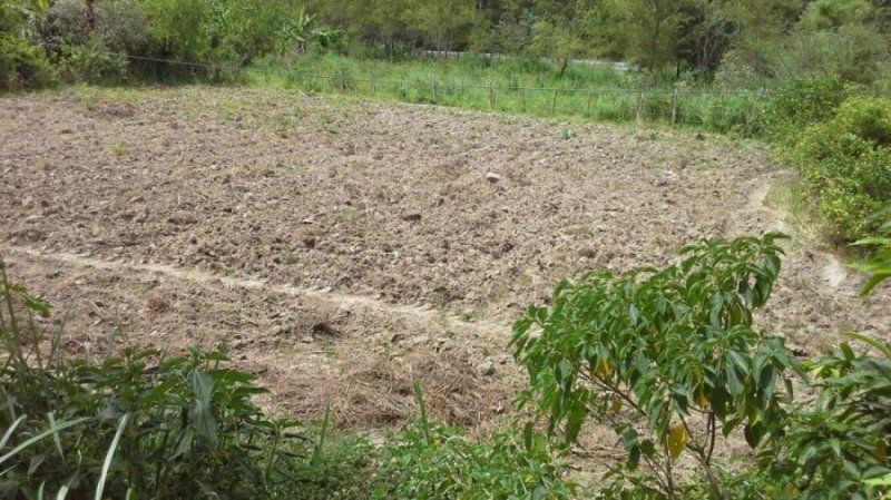 Lindo terreno ubicado cerca de Malacatos (Loja) totalmente tranquilo y alejado del ruido citadino