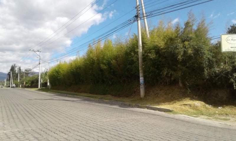 Terreno en Arriendo en Puembo Puembo, Pichincha