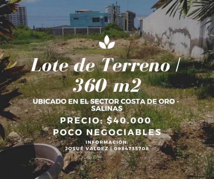 LOTE DE TERRENO | EN VENTA | SALINAS