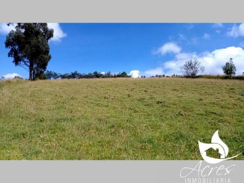 Terreno en Venta en Ayora Cayambe, Pichincha