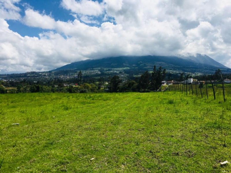 Terreno en Venta en  Cotacachi, Imbabura