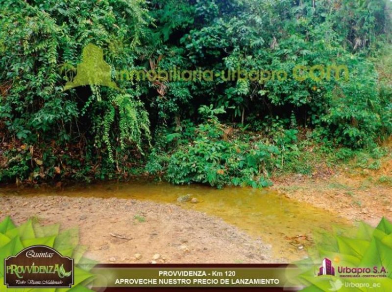 Foto Terreno en Venta en Pedro Vicente Maldonado, Pichincha - U$D 22.900 - TEV14225 - BienesOnLine