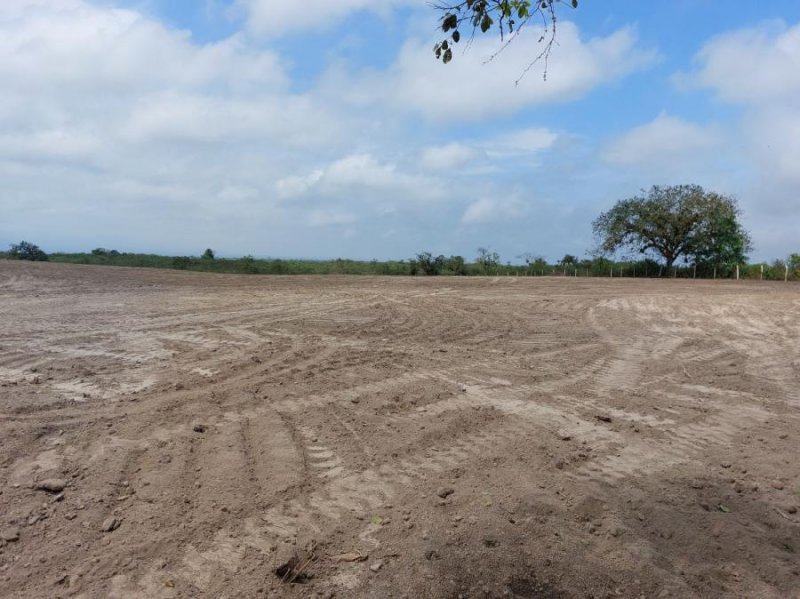 Lotes en El Aromo, por vía a la Refinería