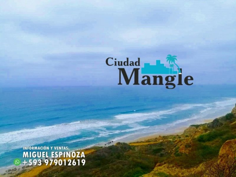 Foto Terreno en Venta en MONTECRISTI, Montecristi, Manabi - 15 hectareas - U$D 16.000 - TEV35438 - BienesOnLine