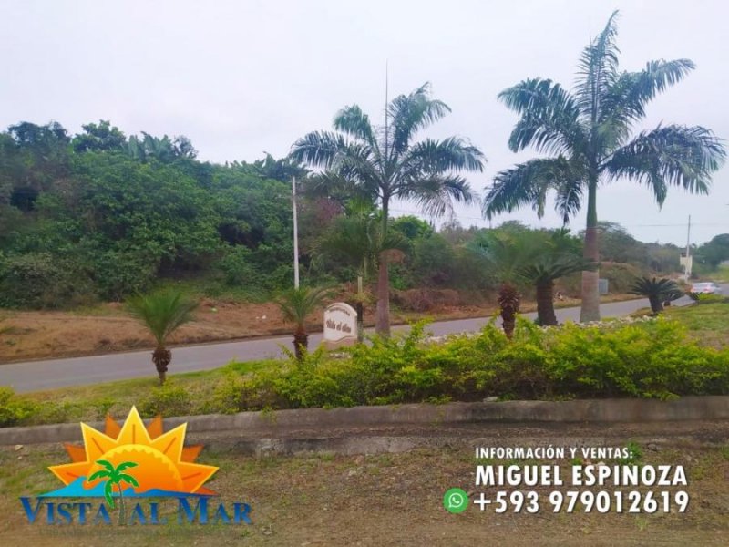 Foto Terreno en Venta en PUERTO CAYO, Jipijapa, Manabi - 15 hectareas - U$D 10.165 - TEV35829 - BienesOnLine