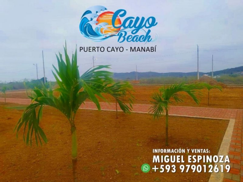 Foto Terreno en Venta en PUERTO CAYO, Jipijapa, Manabi - 15 hectareas - U$D 5.200 - TEV35721 - BienesOnLine