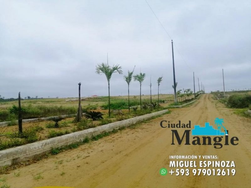 Foto Terreno en Venta en MONTECRISTI, Montecristi, Manabi - 15 hectareas - U$D 16.000 - TEV35589 - BienesOnLine